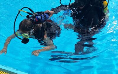 Schnuppertauchen für Groß und Klein im Freibad Jahnsdorf am 06.06.2026